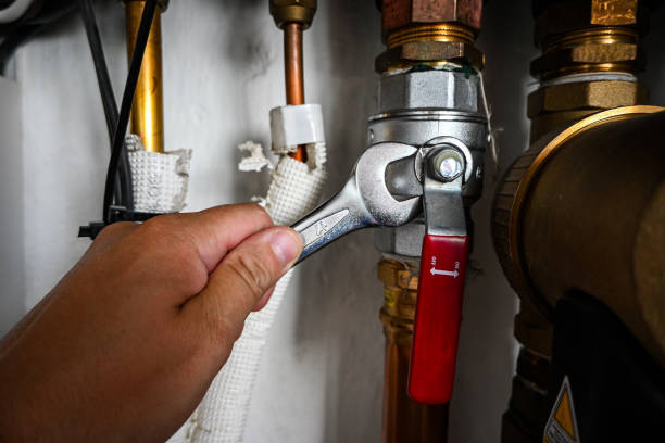 Best Local Plumber Services  in Elizabeth, PA